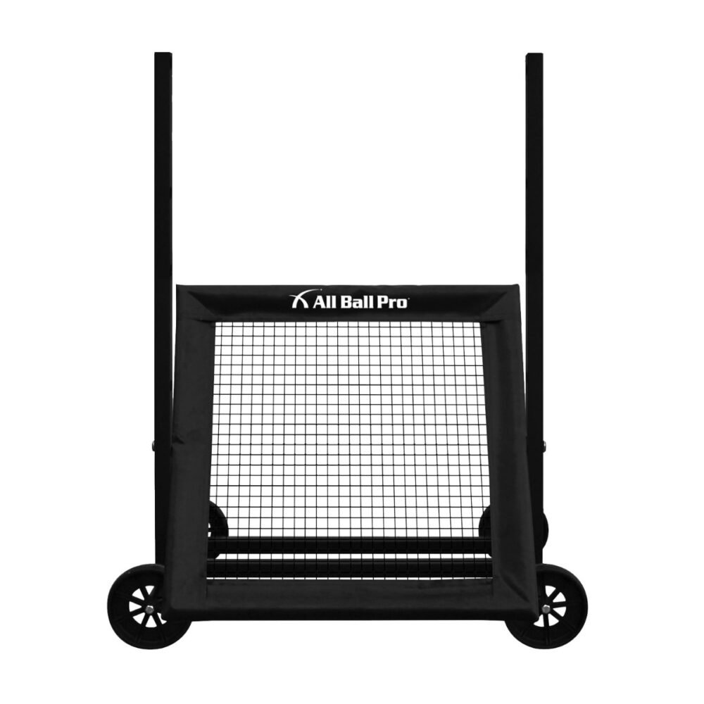 All Ball Pro Stinger X Rebounder - Image 3